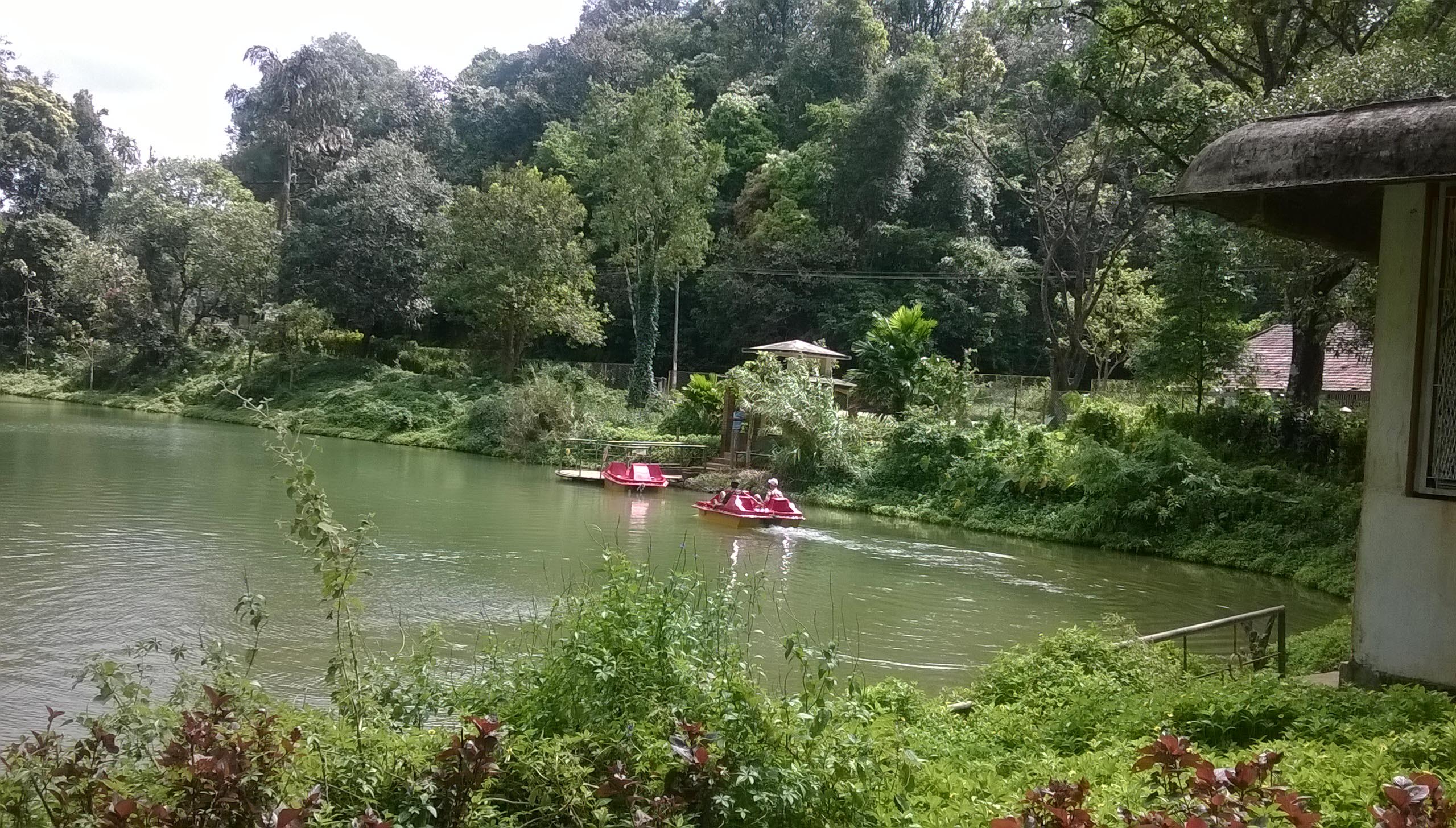 Agumbe forest gate pond